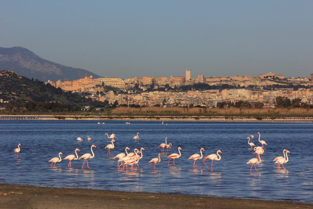 Appartamenti Le Rondini Cagliari Esterno foto